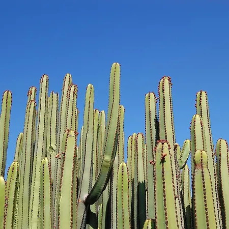 La Isla 6 By Villagrancanaria Willa *